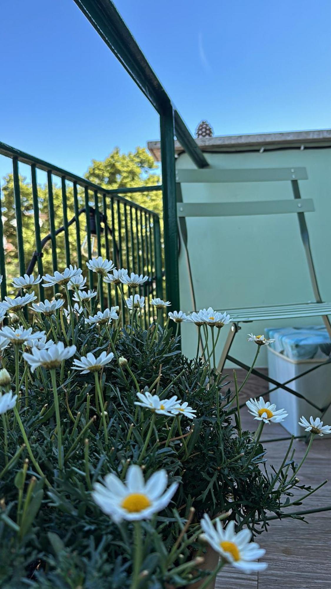 Monstera House Roma Trastevere Exterior foto